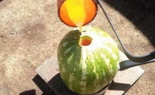 钢刀在线观看西瓜,热血江湖，刀光剑影